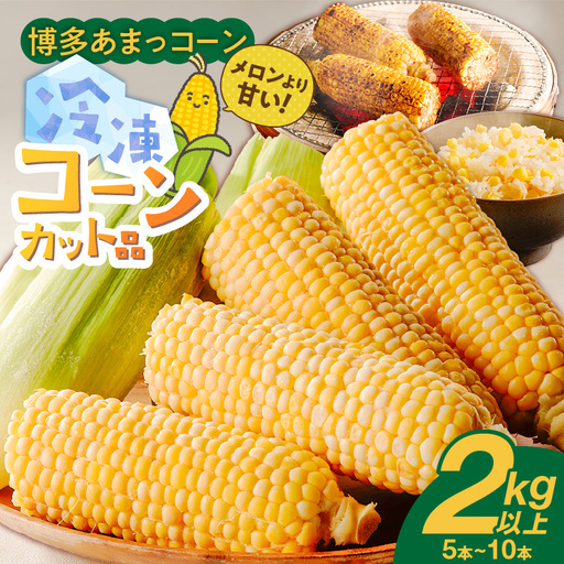 冷凍便!旬の時期に冷凍したSDGs米糠堆肥で作った博多あまっコーンカット品 2kg以上(5〜10本) 〔Gv051-01〕