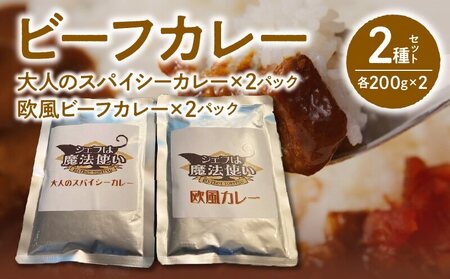 ビーフカレー 2種セット (大人のスパイシーカレー･欧風ビーフカレー) 各200g×2 計800g_ビーフカレー 2種セット (大人のスパイシーカレー･欧風ビーフカレー) 各200g×2 計800g_Ca012