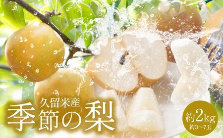 久留米産 季節の梨(約2kg)