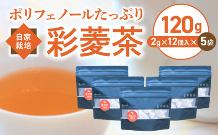 農薬不使用自家栽培 ポリフェノールたっぷり 彩菱茶 120g(2g×12袋入り)×5袋セット_自家栽培 彩菱茶 120g 2g × 12入り × 5 セット ティーバック ポリフェノール 麦茶 リラックス の実 美容 健康 葉酸 エイジングケア ノンカフェイン ビタミン ミネラル 焙煎 伝統 お湯出し 煮出し お取り寄せ 福岡県 久留米市 送料無料_Ex213