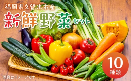 福岡県久留米市産 新鮮野菜セット