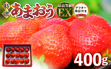 特選あまおう 400g_Fi006-V1 あまおう イチゴ 数量限定 いちご エクセレント 厳選 400g 減農薬 有機質肥料 特別栽培 認定農家 うるう農園 福岡県 久留米市 採れたて 農家直送 フルーツ 果物 冷蔵 贈答用 贈り物 お取り寄せ 送料無料