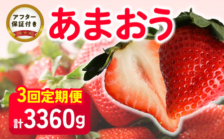 [いちごの定期便]福岡県産 あまおう 合計3,360g (2月・3月・4月の3回 1,120g(280g×4パック))_[定期便]福岡県産 あまおう 2月 3月 4月 3回お届け 1,120g 280g × 4パック 計 3,360g いちご ブランド 果物 アレンジ おやつ お菓子 苺タルト クッキー フルーツ スイーツ スムージー ジャム 南国フルーツ お取り寄せ 久留米市 送料無料_Fi035-V