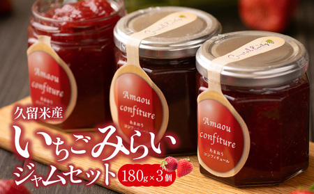 久留米産いちごみらいジャムセット_久留米産 いちごみらい ジャム 180g × 3個 セット あまおう 甘い オリジナル 上質 果物 フルーツ 朝食 ヨーグルト パン トースト 瓶 国産 南国フルーツ株式会社 お取り寄せ グルメ 福岡県 久留米市 送料無料_Ca007_V1