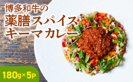 博多和牛の薬膳スパイスキーマカレー_博多和牛の薬膳スパイスキーマカレー_Ca023