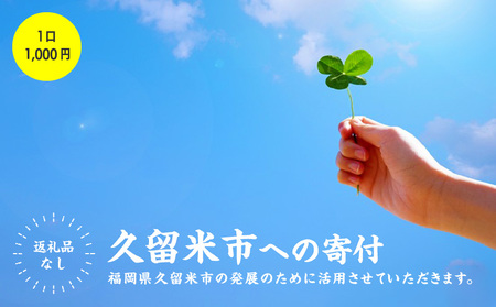 福岡県久留米市への寄付（返礼品はありません） 返礼品なし 1口 1,000円_福岡県久留米市への寄付（返礼品はありません） 返礼品なし 1口 1,000円_Rc005