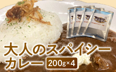 大人のスパイシーカレー200g×4_Ca019