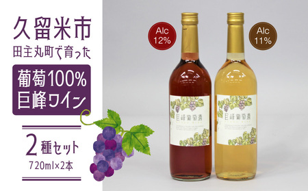 久留米市田主丸町で育った葡萄100% 巨峰ワイン2種セット(720ml×2本)_巨峰ワイン2本セット_Ew003