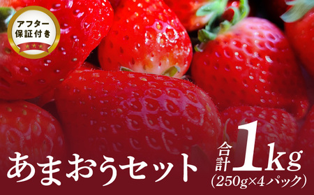 あまおうセット_Fi044_いちご あまおう 250g×4パック セット 果物 フルーツ ストロべリー ふくおかエコ農産物認証制度 永田農園 福岡県 久留米市 お取り寄せ お取り寄せフルーツ 食品 食べ物 おやつ スイーツ スムージー ジャム お菓子作り 送料無料