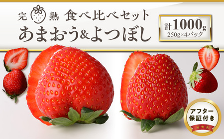 池田農園の完熟あまおう&完熟よつぼし食べ比べセット_Fi046_イチゴ あまおう よつぼし 食べ比べ セット 期間限定 各 250g 2パック 計4パック 計 1kg 特別栽培 大粒 冷蔵 特殊トレー ゆりかーご 贈り物 フルーツ 果物 お取り寄せ 送料無料