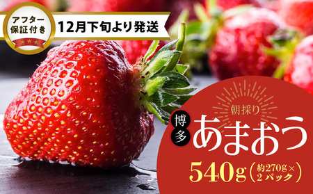 [12月下旬より順次発送]農家直送 朝採り新鮮いちご[博多あまおう]約270g×2パック_[12月下旬より順次発送] 農家直送 朝採り 新鮮 いちご 博多 あまおう 約 270g×2パック_Fi061