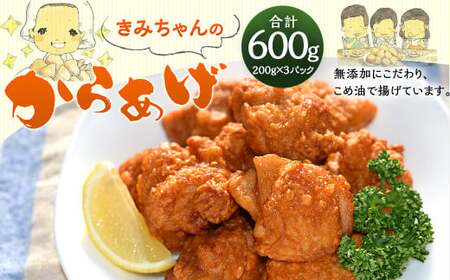 子どもが大好き!きみちゃんのから揚げ 200g×3パック 計600g