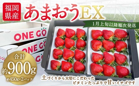 ギフト配送 福岡県産あまおう EX 約450g×2パック 合計約900g [特別栽培][2025年1月上旬〜3月下旬発送予定]