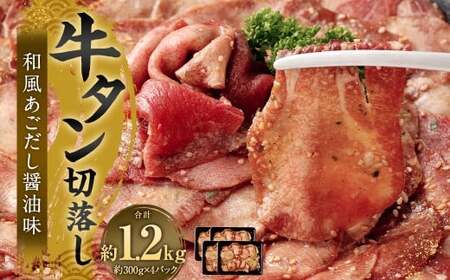 ^ؗ iaݖj 300g×4 v1.2kg ^ ^  