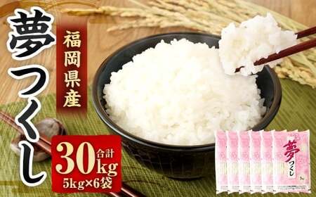 【令和7年産】 精米 食味鑑定士厳選 夢つくし 30kg（5kg×6袋） 米 こめ コメ お米 単一原料米