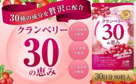 クランベリー30の恵み 1袋 (1ヶ月分) クランベリー ベリー サプリメント トイレ サプリ 小粒タイプ 九州 福岡県 直方市