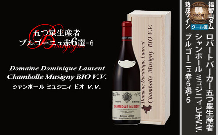 FD566 福智山ダム熟成 五つ星生産者ブルゴーニュ赤6選-06 ワイン 赤ワイン 熟成ワイン ブルゴーニュ