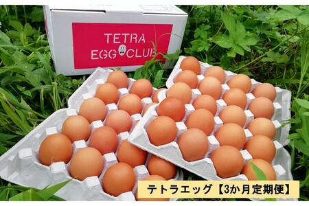 テトラエッグ(40個/月)[3カ月定期便][C5-031]たまご 卵 玉子 タマゴ