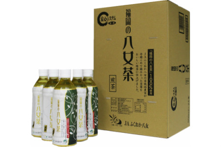 八女茶 煎茶ペットボトル 500ml×24本[A5-309]福岡八女 八女 茶葉 すっきりとした味わい 甘み 茶