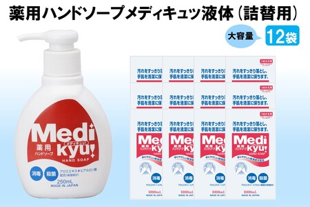 薬用ハンドソープ メディキュッ 液体 詰替用 1000ml×12袋【B2-018】ハンドソープ 液体 詰替え用 大容量 薬用 殺菌 消毒 飯塚市 福岡県 飯塚 福岡