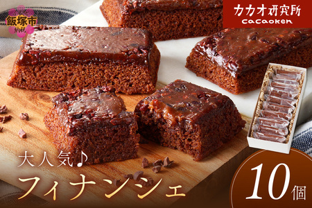 カカオ研究所 フィナンシェ10個セット【B-180】チョコレート ビーントゥバー Bean to Bar カカオ アイス 福岡 飯塚