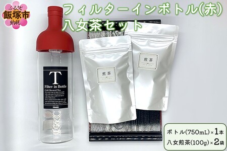 フィルターインボトル(赤)八女茶セット[B3-039] 急須 お茶 茶 フィルターインボトル 煎茶