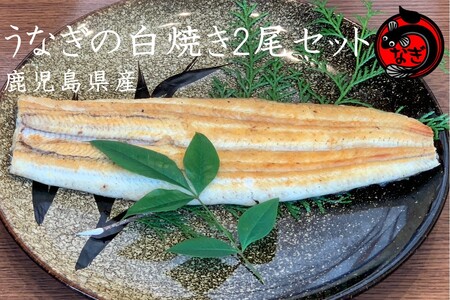 鹿児島産うなぎの白焼き2尾セット[B7-033]国産 特大 うなぎ 鰻 ウナギ 白焼き 有頭 お取り寄せ 冷凍