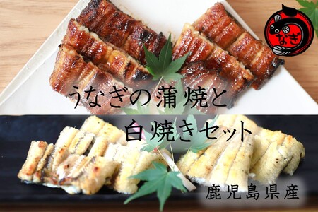 鹿児島産うなぎの蒲焼と白焼きセット 2尾[B7-034]国産 特大 うなぎ 鰻 ウナギ 蒲焼 白焼き 有頭 お取り寄せ 冷凍