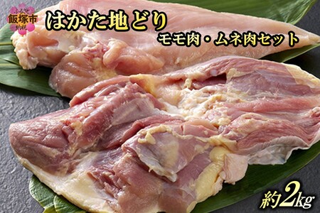 ͂nǂ胂ElZbg2kg(͂ nǂ  l  { Y  Ⓚ)yB-183z