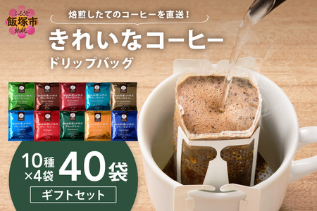 @ꂢȃR[q[hbvobOZbg40(10×4) MtgZbg(hbvobO IAVXuh XyVuh Juh NC[uh [sAu