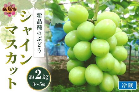 VC}XJbg(Ԃǂ)2kg2025N9甭Jns\(Ԃǂ VC}XJbg XC[c t[c ʕ)yC-169z