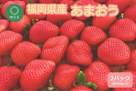 自然栽培 福岡県産あまおう 600g
