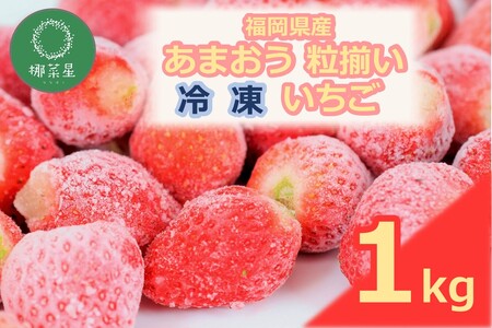 自然栽培 福岡県産あまおう粒揃い(冷凍) 1kg
