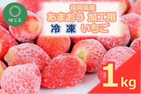 自然栽培 福岡県産あまおう加工用(冷凍) 1kg