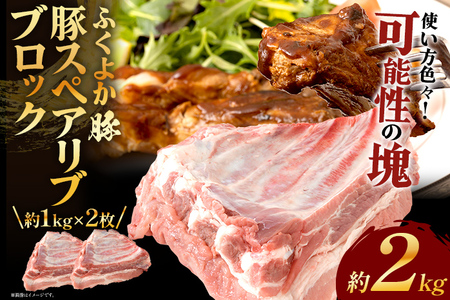 ӂ悩؃XyAuubNJbg22kg ؃XyAuubN v2kgi1kg×2j ؃XyAu ؓ u^ Ԃ  ubN  XyAu ӂ悩 BBQ ύݗ AEg