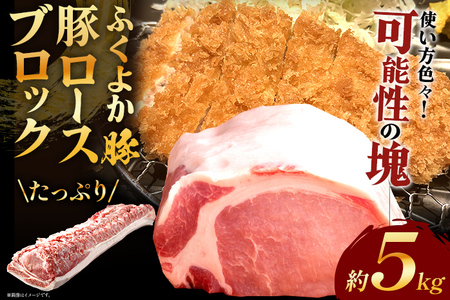 ӂ悩؃[XubN5kg ؃[XubN ؃[XubN ؃[X ubN  ؓ u^   ӂ悩 ē Xe[L Ƃ񂩂 Ԃ ①   B