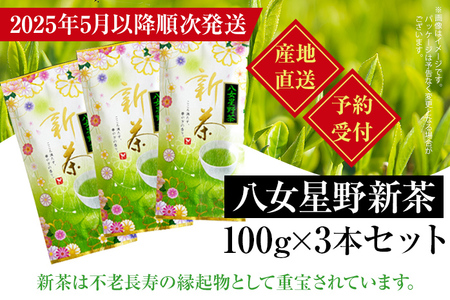 [予約返礼品/2025年5月以降順次発送]新茶 八女星野茶 100g×3本 緑茶 八女茶 お茶 茶葉 セット お取り寄せグルメ お取り寄せ 福岡 お土産 九州 福岡土産 取り寄せ グルメ 福岡県