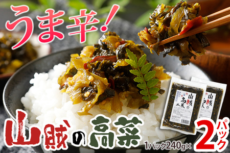 辛子高菜 240g×2パック（480g） 山賊の高菜