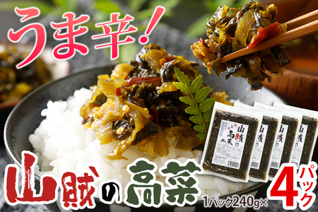 高菜 辛子高菜 240g×4パック メール便 高菜