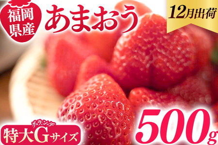 Y ܂ 500g i250g×2pbNj  12   t[c ʕ  嗱GTCY Of _ƒ 嗱 s   B O 