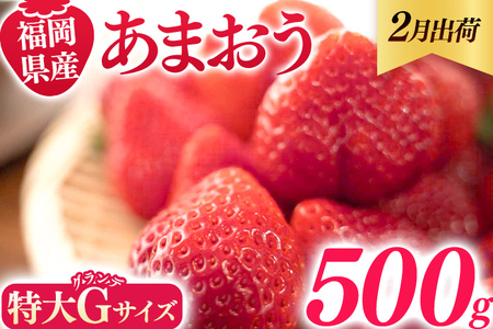 福岡県産 あまおう 500g (250g×2パック) いちご 2月中発送 いちご 苺 フルーツ 果物 くだもの 大粒Gサイズ グランデ 農家直送 大粒 不揃い 福岡県 福岡 九州 グルメ お取り寄せ