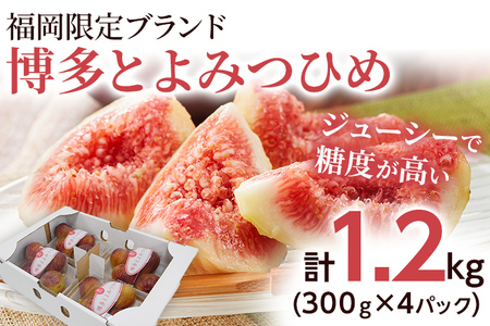 いちじく とよみつひめ 計1.2kg R8年7月下旬以降発送 福岡限定ブランドいちじく