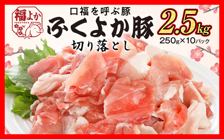 豚肉 ふくよか豚 切り落とし 2.5kg(250g×10パック) モモ ウデ モモ肉 ウデ肉 小分け 真空パック ブタ肉 ぶた肉 生姜焼き 焼きそば 豚汁 冷凍 福岡県 福岡 九州 グルメ お取り寄せ