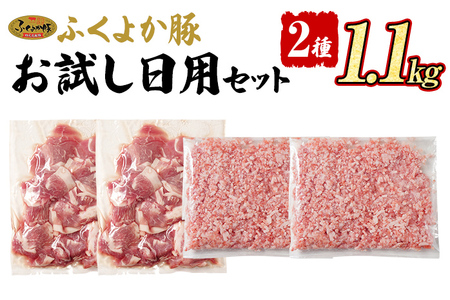 豚肉 切り落とし ミンチ [C]ふくよか豚 お試し日用セット 小分け ブタ肉 ぶた肉 冷凍 福岡県 福岡 九州 グルメ お取り寄せ