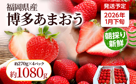 ystz_ƒ ̂VNy܂z1{菇 270g×4pbN Y  C`S ̂ ① XC[c W[X Mtg v[g yY B 