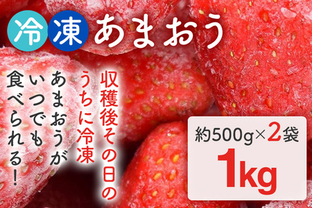 福岡県産[博多冷凍あまおう] 約1kg 産地直送 産直 朝採れ 朝採り 新鮮 瞬間冷凍 いちご イチゴ 苺 お取り寄せグルメ お取り寄せ 福岡 お土産 九州 福岡土産 取り寄せ グルメ 福岡県 ※北海道・沖縄・離島は配送不可