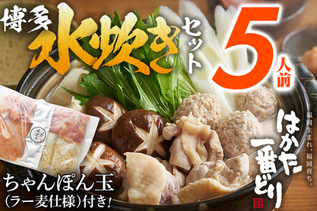 はかた一番どり 博多 水炊き セット 5人前 もも肉 つみれ 手羽元 鶏肉 鍋セット モモ肉 鶏もも肉 水炊き 水炊き 水炊き 水炊き 水炊き