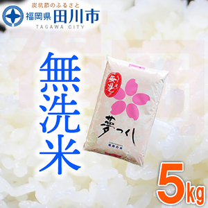 無洗米 福岡県産夢つくし 無洗米 5kg 無洗米