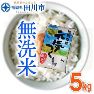 無洗米 福岡県産元気つくし 無洗米 5kg 無洗米