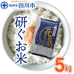 お米 福岡県産元気つくし 5kg お米